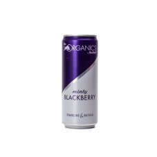 Red Bull Minty Blackberry