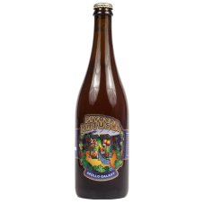 Matuska 13° Apollo Galaxy APA