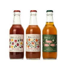 Bacilli Kombucha Jasmín Bacilli Kombucha Jasmín