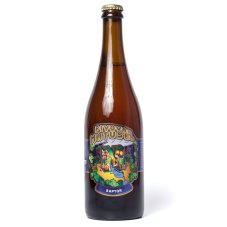 Matuška 17° Golden Rocket IPA